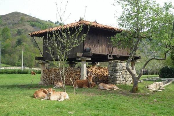 Hotel Rural Sucuevas Llano-Con Exterior foto
